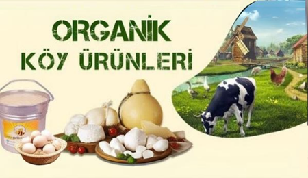 image/catalog/kucuk banner/banner 3.png